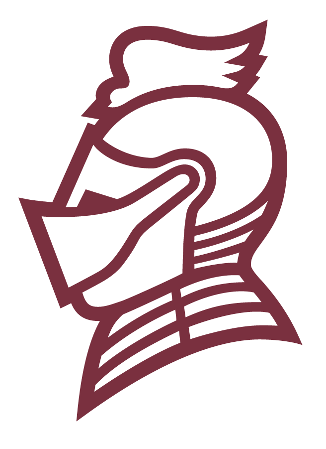 Bellarmine Knights 2020-Pres Secondary Logo diy DTF decal sticker